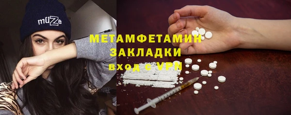 крисы Каменногорск