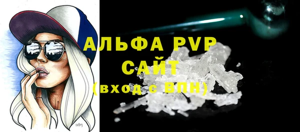 крисы Каменногорск
