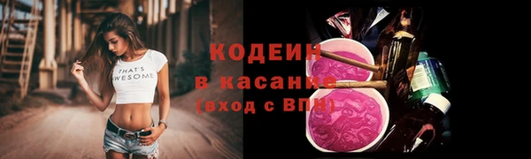 прущие крисы Каменка