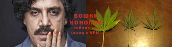 прущие крисы Каменка
