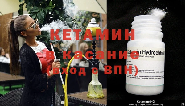 прущие грибы Карпинск