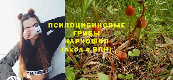 не бодяженный Каменск-Шахтинский