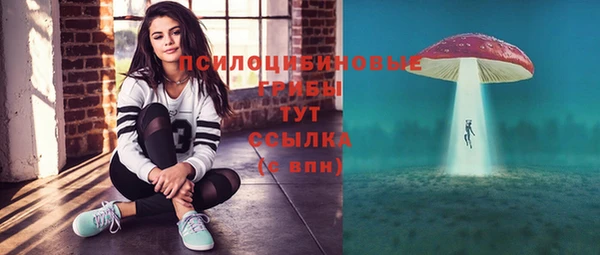 прущие крисы Каменка