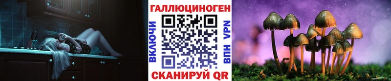 Псилоцибиновые грибы MAGIC MUSHROOMS  мориарти официальный сайт  Краснозаводск  где продают наркотики 